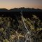 Sunrise over Organ Mountains
