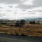 Rodeo Grounds... looking south to Quemado, New Mexico