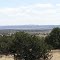 640 Acre Marino Ranch
