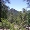 Shaggy Peak from Glorietta Baldy trail