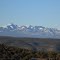 Looking North - LNF