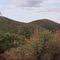 Facing east from Pinos Altos, New Mexico.