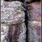 Erosion Crack at Ben Lilly Monument