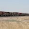 Train, Beelen, NM