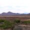East of Animas, New Mexico