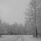 Snow in May