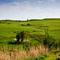 Flint Hills