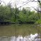 Wildcat Creek