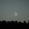 the moon
