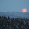 Moonrise in wintertime