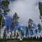 Lålammsberget