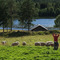 Vermundsjøen Camping