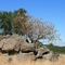 Almaden Quicksilver Park