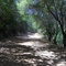 Alameda Quicksilver Park, Mine Hill Road