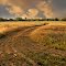 Along Coyote Creek Regional Bicycle Trail