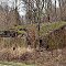 Nature Taking Over - Abandoned Barn