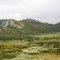 Oppsjøen 11.07.2008