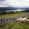 Gålå 11.07.2008