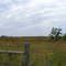 NE gate of Martin Prairie PP Nature Center.  Fall 2009