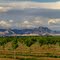 Sutter Buttes