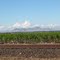 Sutter Buttes ARBUCKLE angle
