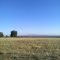 Sutter Buttes