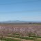Sutter buttes
