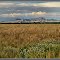 The Sutter Buttes from Arbuckle, California