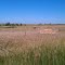 Arbor Lake Wildlife  Management Area