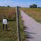 Shoemaker Marsh - Path to Overlook from Parking lot