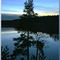 Blue Evening