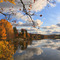 Autumn colors of Årjungen, Ås