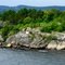 Das felsige Ufer der Insel Süd-Kaholmen im Oslofjord