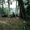 Maguli Range 1995