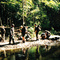 Ofi Creek 1995