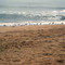 Wave Watching at Hillcrest Beach