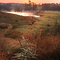 Dawn by the Cowpond