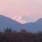 Mt. Shasta from Palo Cedro