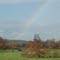Oristimba Rain Bow