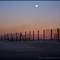 moon rise over the boundary fence Dec '06