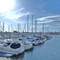 Chanal Island Harbor, California