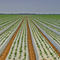 We're not in Kansas ...08.04.07