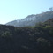 Hollywood cams