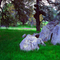 'The Picnic Spot' CA