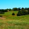  Santa Rosa Plateau