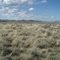 April 26th, 2006 sagebrush steppe