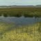 Small Lagoon