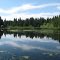 Grace Lake Shingletown