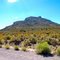 Scenes from The Great Basin State of Nevada