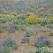 Camp Emerald At Ruby Hill